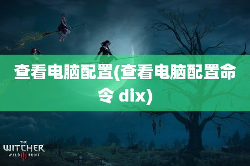 查看电脑配置(查看电脑配置命令 dix)