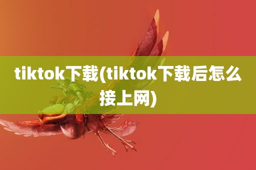 tiktok下载(tiktok下载后怎么接上网)