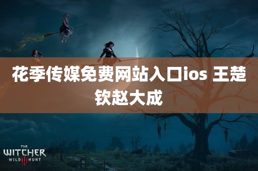 花季传媒免费网站入口ios 王楚钦赵大成