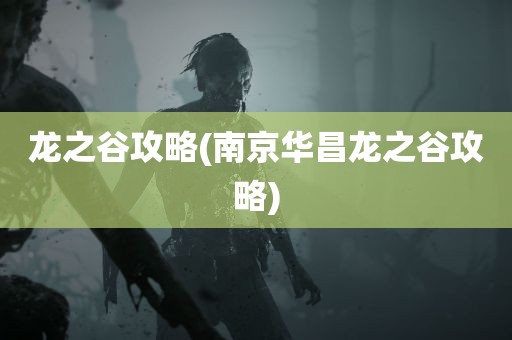 龙之谷攻略(南京华昌龙之谷攻略)