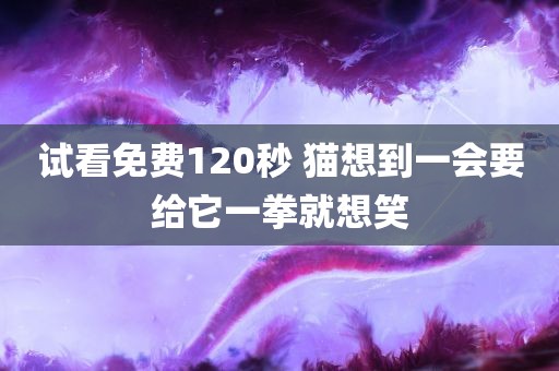 试看免费120秒 猫想到一会要给它一拳就想笑