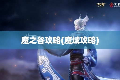 魔之谷攻略(魔域攻略)