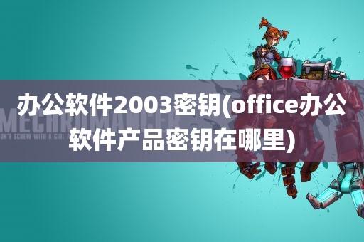 办公软件2003密钥(office办公软件产品密钥在哪里)