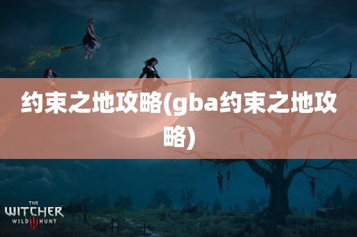 约束之地攻略(gba约束之地攻略)