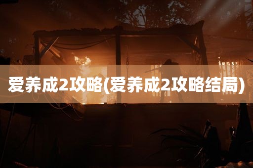 爱养成2攻略(爱养成2攻略结局)