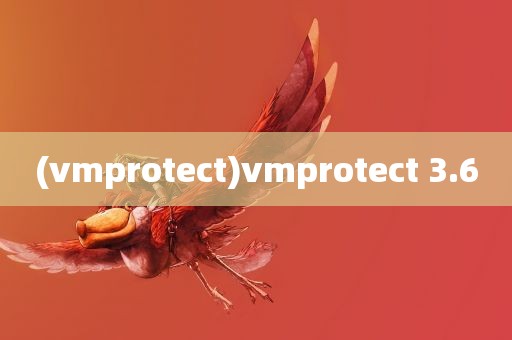 (vmprotect)vmprotect 3.6