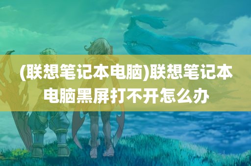 (联想笔记本电脑)联想笔记本电脑黑屏打不开怎么办