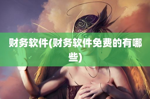 财务软件(财务软件免费的有哪些)