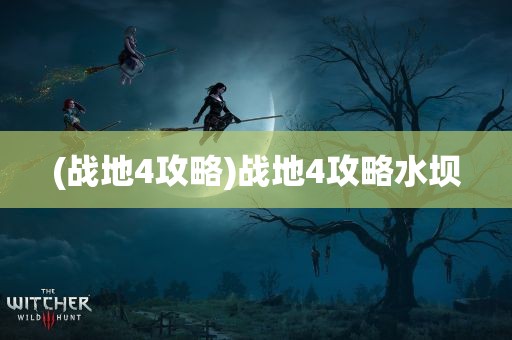 (战地4攻略)战地4攻略水坝