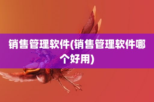 销售管理软件(销售管理软件哪个好用)