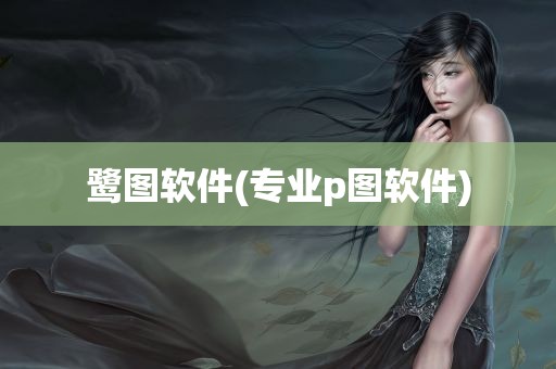 鹭图软件(专业p图软件)