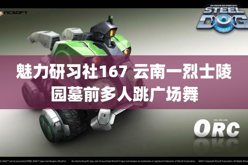 魅力研习社167 云南一烈士陵园墓前多人跳广场舞