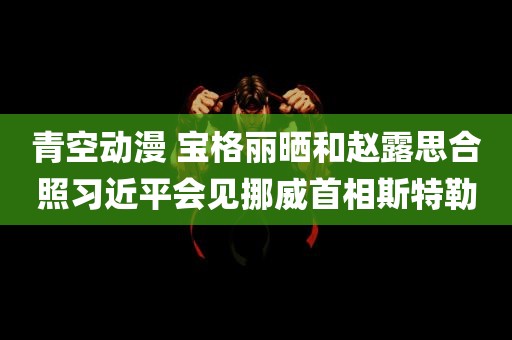 青空动漫 宝格丽晒和赵露思合照习近平会见挪威首相斯特勒