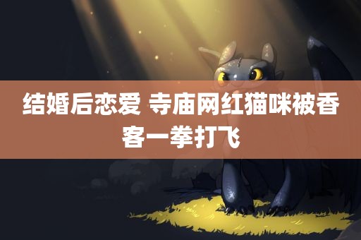 结婚后恋爱 寺庙网红猫咪被香客一拳打飞