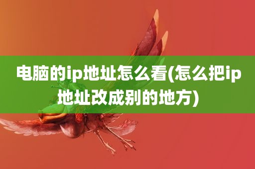 电脑的ip地址怎么看(怎么把ip地址改成别的地方)