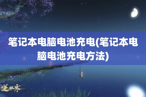 笔记本电脑电池充电(笔记本电脑电池充电方法)