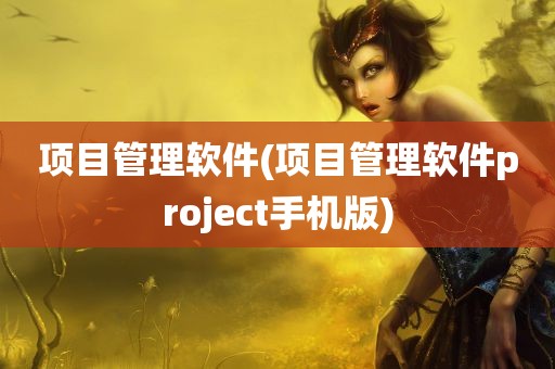 项目管理软件(项目管理软件project手机版)