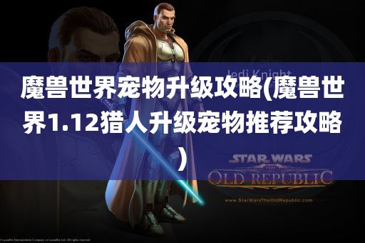 魔兽世界宠物升级攻略(魔兽世界1.12猎人升级宠物推荐攻略)