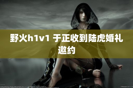 野火h1v1 于正收到陆虎婚礼邀约