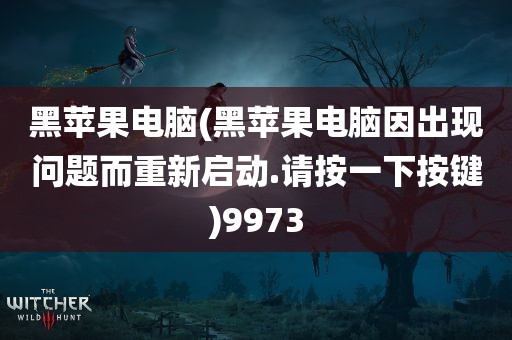 黑苹果电脑(黑苹果电脑因出现问题而重新启动.请按一下按键)9973