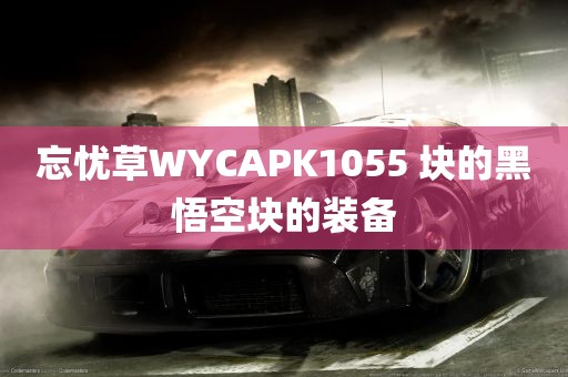 忘忧草WYCAPK1055 块的黑悟空块的装备