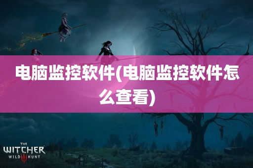 电脑监控软件(电脑监控软件怎么查看)