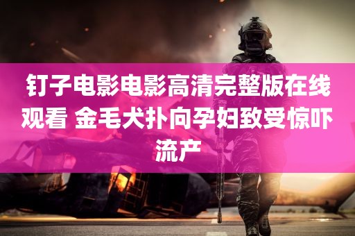 钉子电影电影高清完整版在线观看 金毛犬扑向孕妇致受惊吓流产