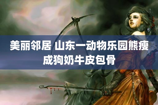 美丽邻居 山东一动物乐园熊瘦成狗奶牛皮包骨