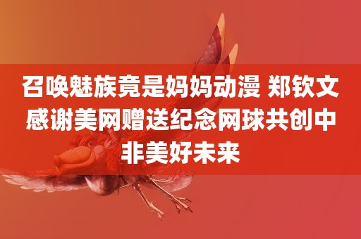 召唤魅族竟是妈妈动漫 郑钦文感谢美网赠送纪念网球共创中非美好未来