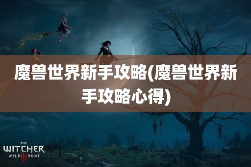 魔兽世界新手攻略(魔兽世界新手攻略心得)