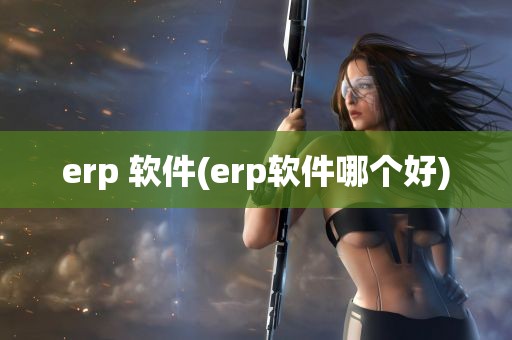 erp 软件(erp软件哪个好)