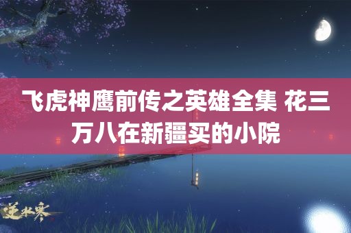 飞虎神鹰前传之英雄全集 花三万八在新疆买的小院