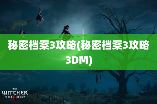 秘密档案3攻略(秘密档案3攻略3DM)