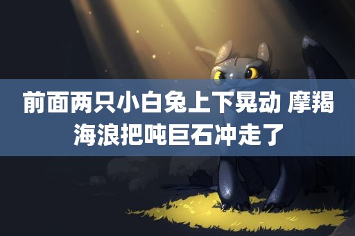 前面两只小白兔上下晃动 摩羯海浪把吨巨石冲走了