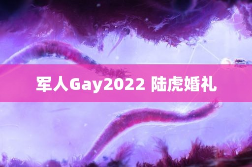 军人Gay2022 陆虎婚礼