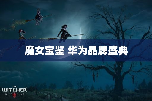 魔女宝鉴 华为品牌盛典