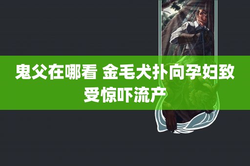 鬼父在哪看 金毛犬扑向孕妇致受惊吓流产