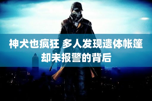 神犬也疯狂 多人发现遗体帐篷却未报警的背后