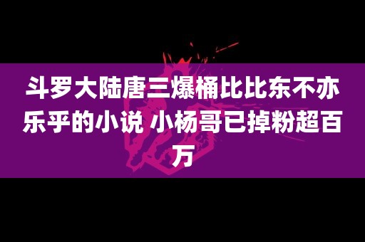 斗罗大陆唐三爆桶比比东不亦乐乎的小说 小杨哥已掉粉超百万