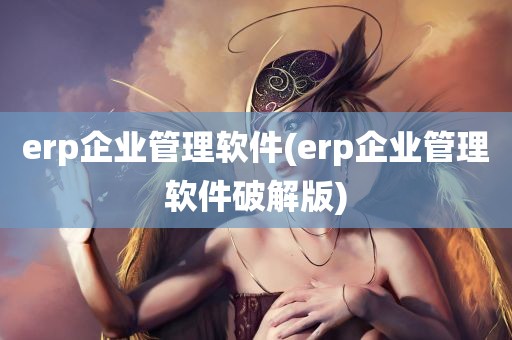 erp企业管理软件(erp企业管理软件破解版)