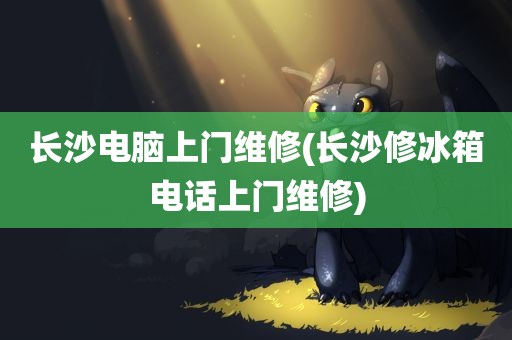 长沙电脑上门维修(长沙修冰箱电话上门维修)