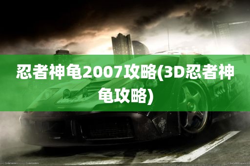 忍者神龟2007攻略(3D忍者神龟攻略)