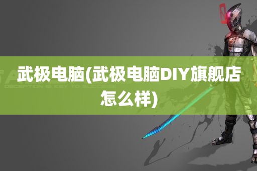 武极电脑(武极电脑DIY旗舰店怎么样)