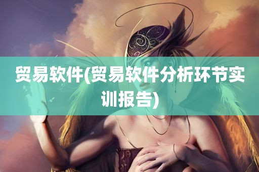 贸易软件(贸易软件分析环节实训报告)