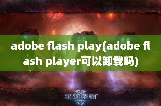 adobe flash play(adobe flash player可以卸载吗)