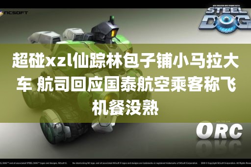 超碰xzl仙踪林包子铺小马拉大车 航司回应国泰航空乘客称飞机餐没熟