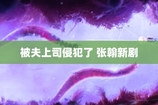 被夫上司侵犯了 张翰新剧