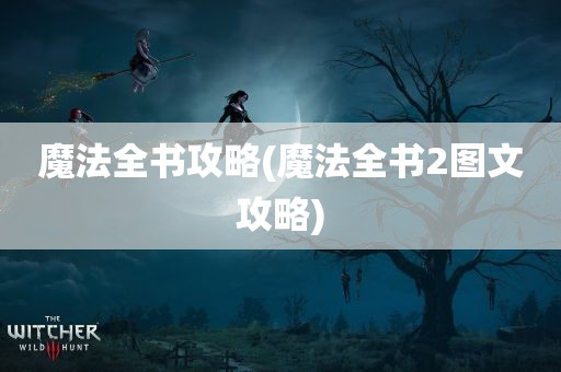 魔法全书攻略(魔法全书2图文攻略)