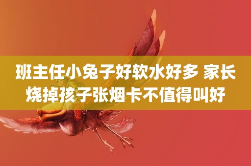 班主任小兔子好软水好多 家长烧掉孩子张烟卡不值得叫好