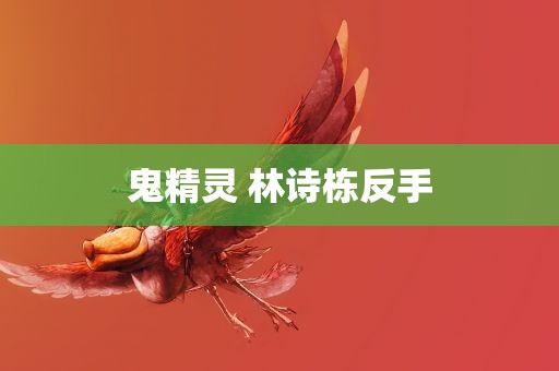 鬼精灵 林诗栋反手